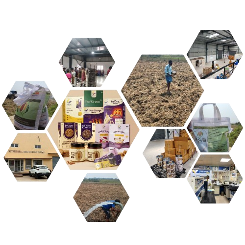 Our story journey collage