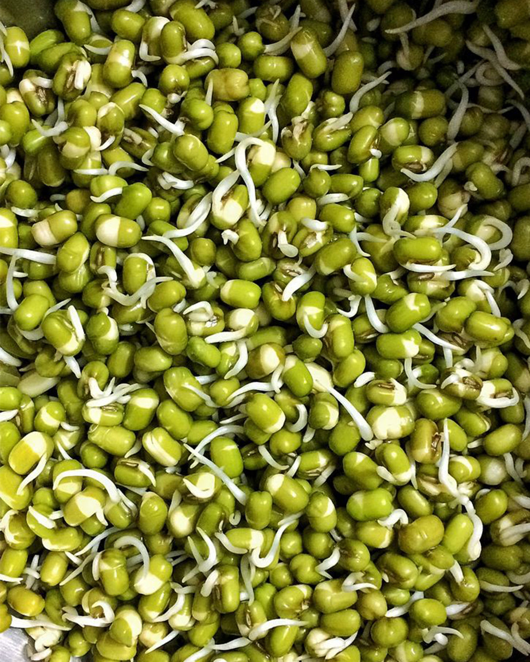 Green Gram