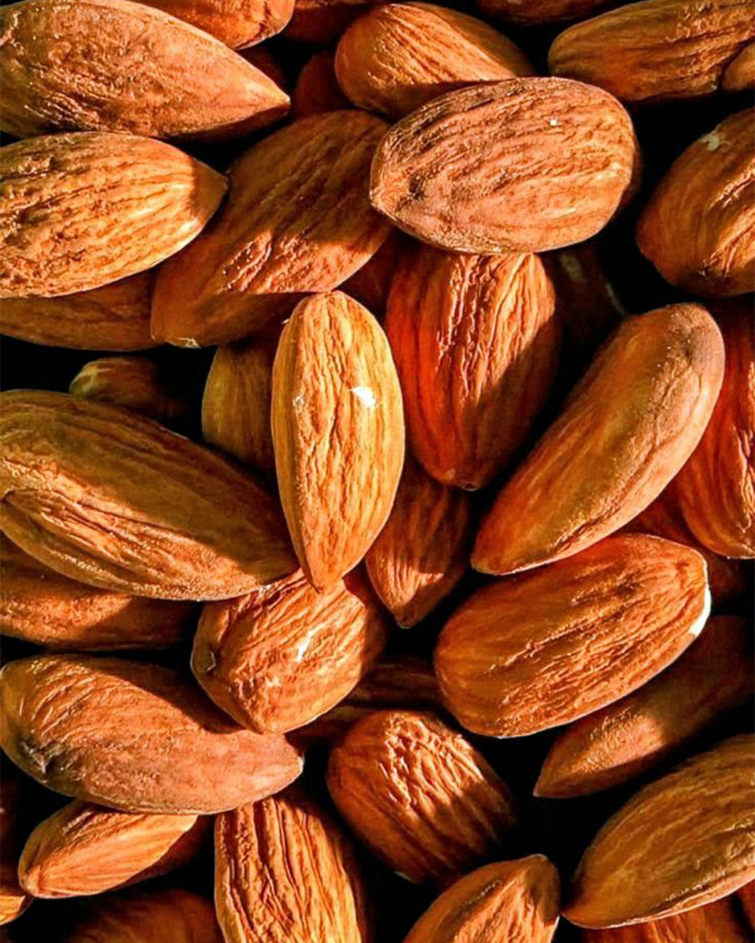 Almonds - Cocoa Rich Bar
