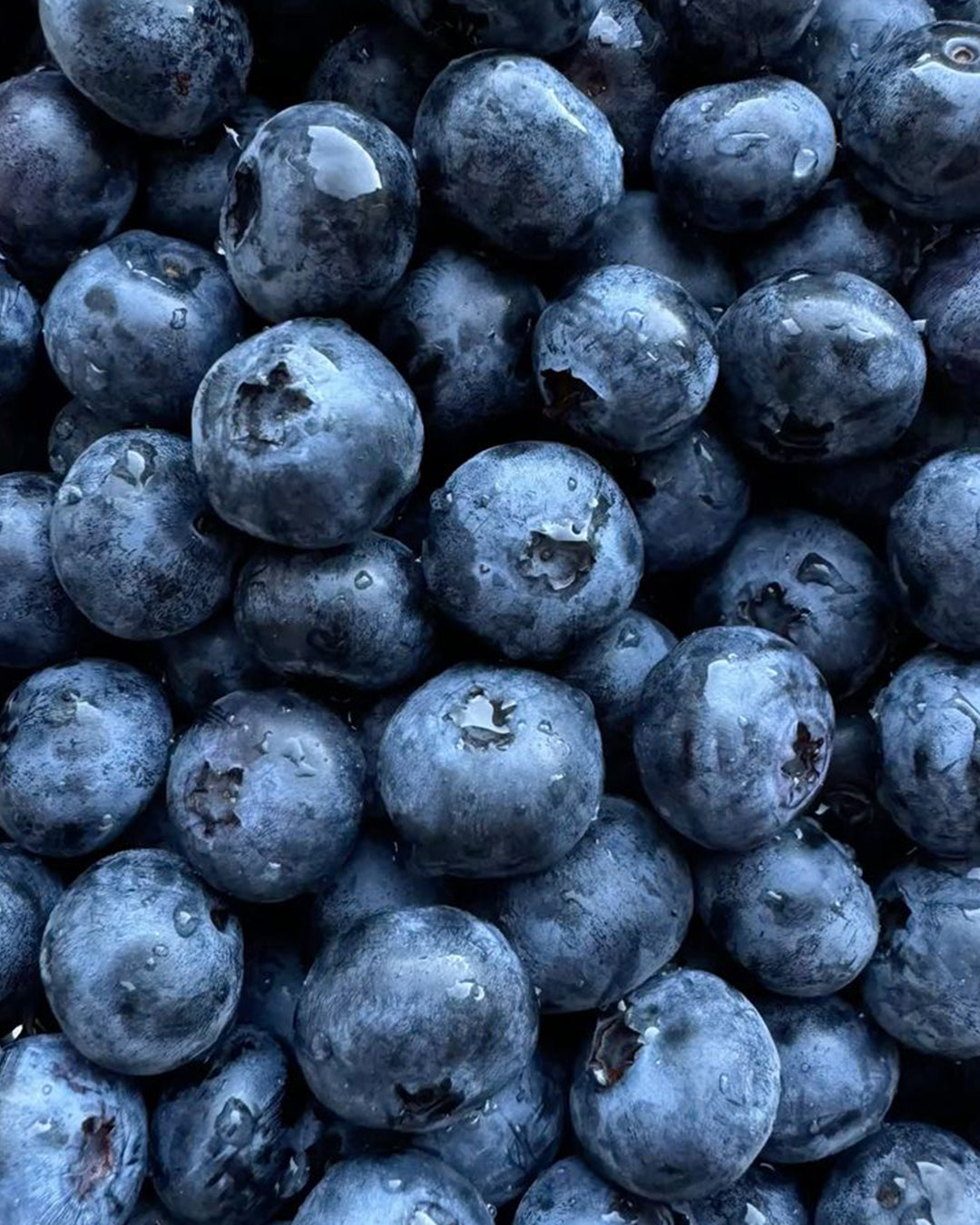 Blueberry - Cocoa Rich Bar