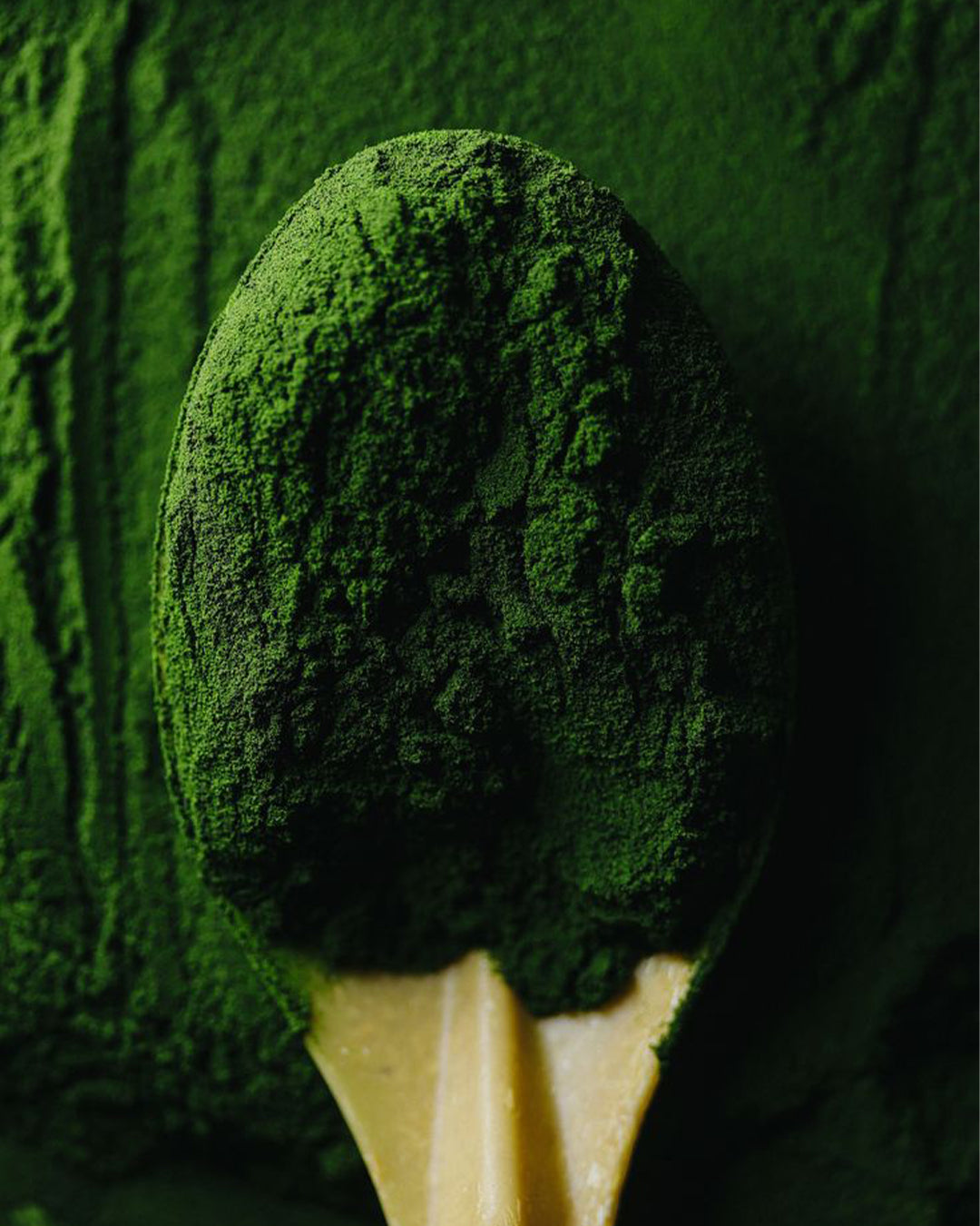 Organic Chlorella Powder