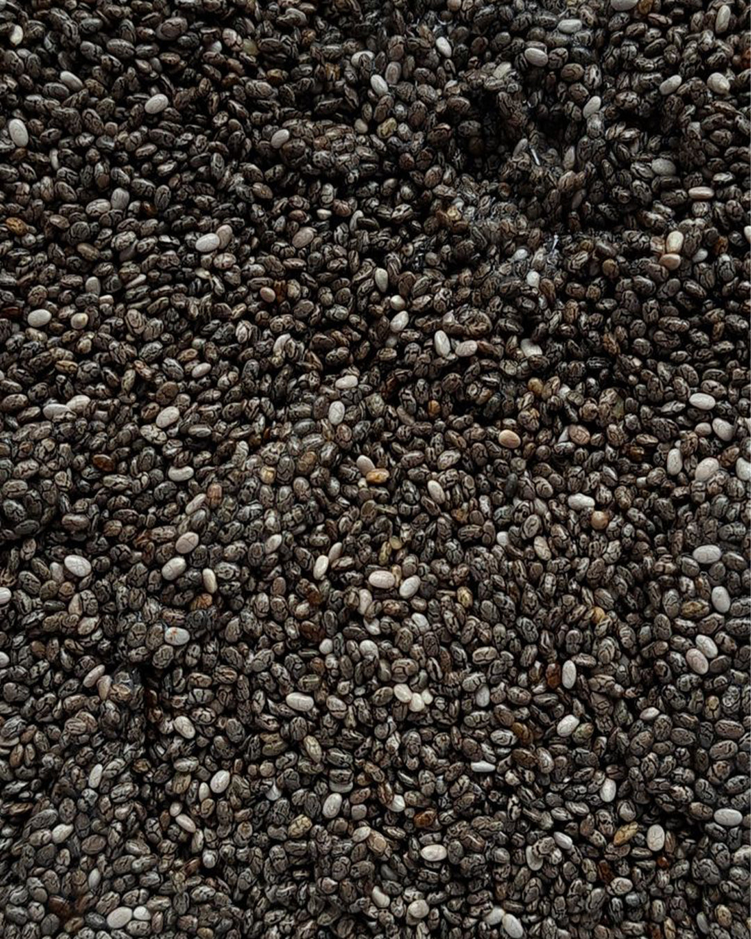 Chia Seeds - Cocoa Rich Bar