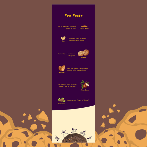 Millet & Oats Chocolate Cookies – (12 Cookies, 240g) | Puŕ Fermé Project