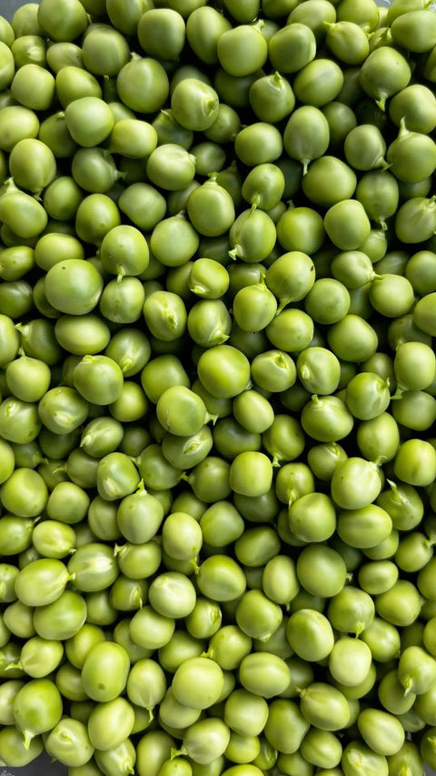 Pea Protein