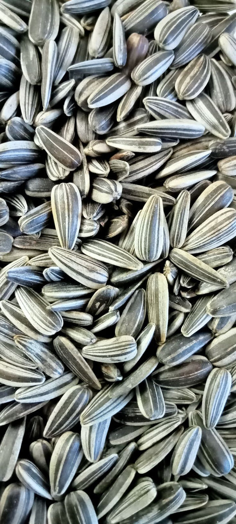 Sunflower Seeds