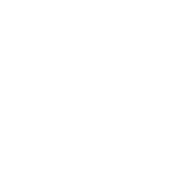 Seed
