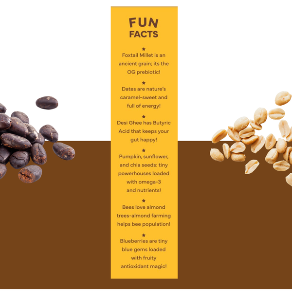 Millet PuŕGrain Bar Combo – 10g Protein (10 Bars, 2 Variants) | Puŕ Fermé Project