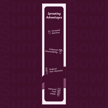 PurFerme Sunrise Bowl Sprouted Ragi Porridge – Buy 1 Get 1 Free!