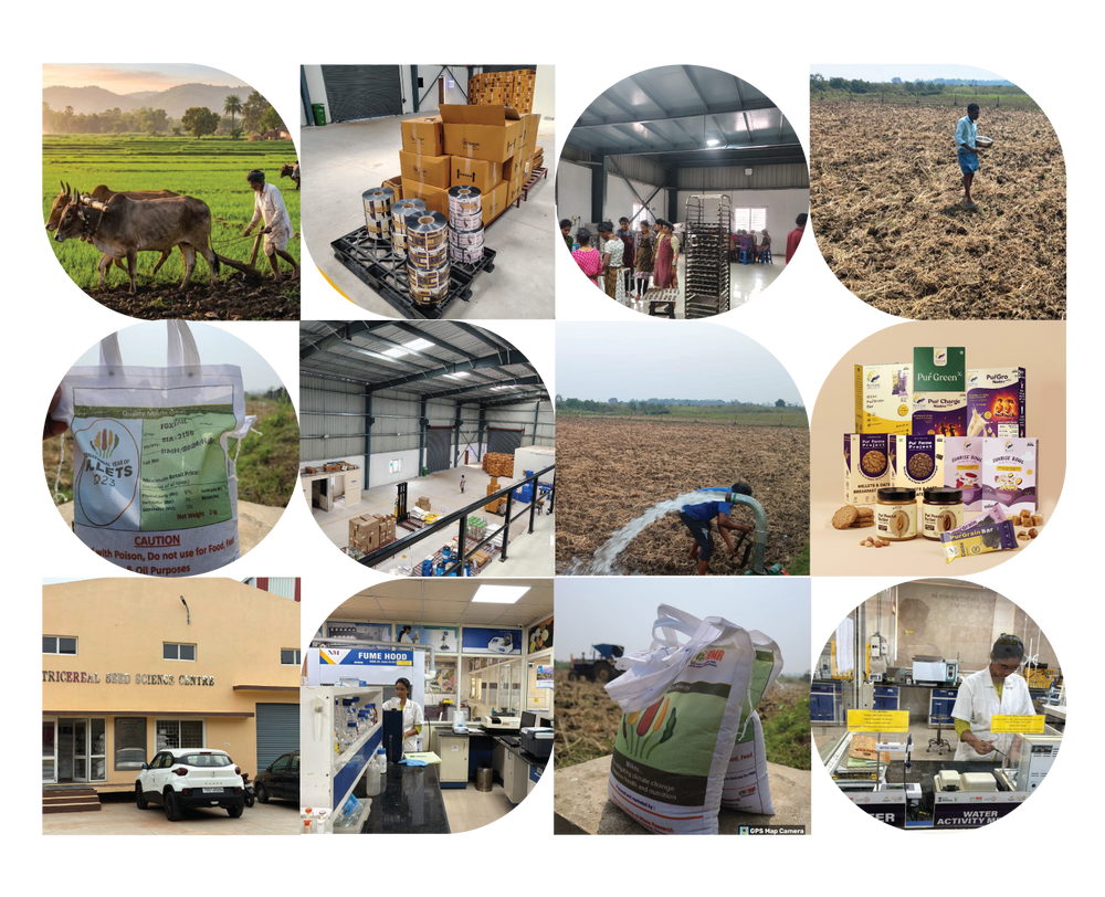 Our story image 1